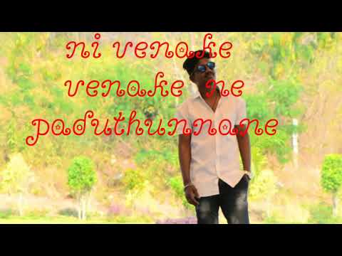 oye-oye-o-pilla-nuvve-ni-navve-chusi-love-lo-padipoya-ne-love-song💝💝💝