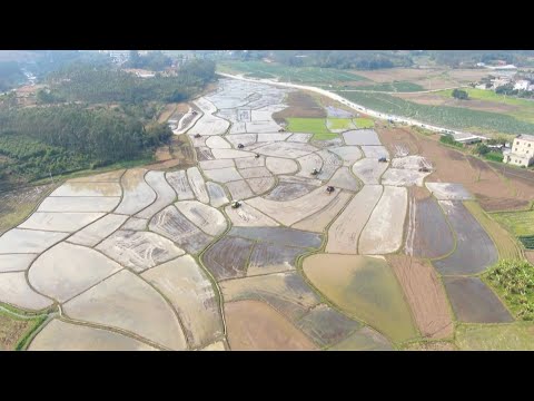 Spring farming in full swing in parts of china