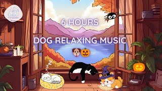 Relaxing Music for Dogs | 6 Hours of Calming Autumn Sounds for Deep Sleep