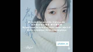 胡66 Hu Liu Liu - 都怪我 Dou Guai Wo [PINYIN-CHN-ENG-INDO LYRICS]