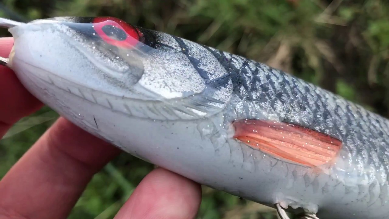 Robinson Lures UK gliding trout review. 
