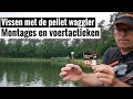 Vissen met de pellet waggleronmisbare tips en tricks