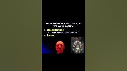 EL 306 Unit 1 Nerve Physiology by Ruchi Mem GPC Pali