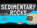 The Journey of Sedimentary Rocks from Weathering to Fossils