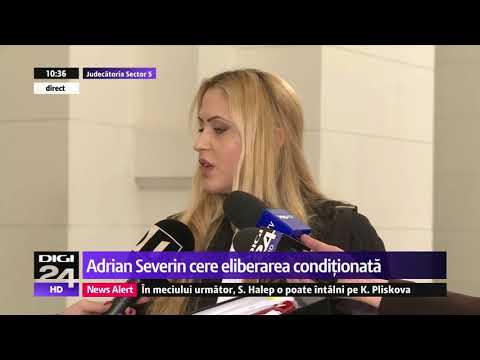 Adrian Severin a tinut ”cursuri de analfabetizare”