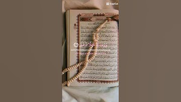 بسم الله ما شاء الله تبارك الرحمن ما اجمل صوت القران الكريم اتمنى تشتركون بقناتي فضلا وليس امرا