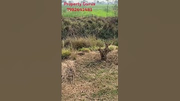 Plot in Patna | सस्ता जमीन | 4 Km from Pothahi Railway station |