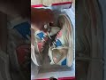 Ya les toca descansar 🤧 #fyp #parati #basketball #sneakers #viralvideo #youtubeshorts #nike #kyrie