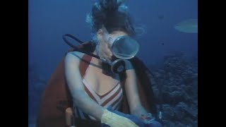 Scuba Diver Woman Feeding Sea Life 1990S