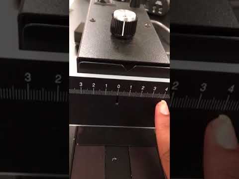 Experiment 22:  Diffraction Data
