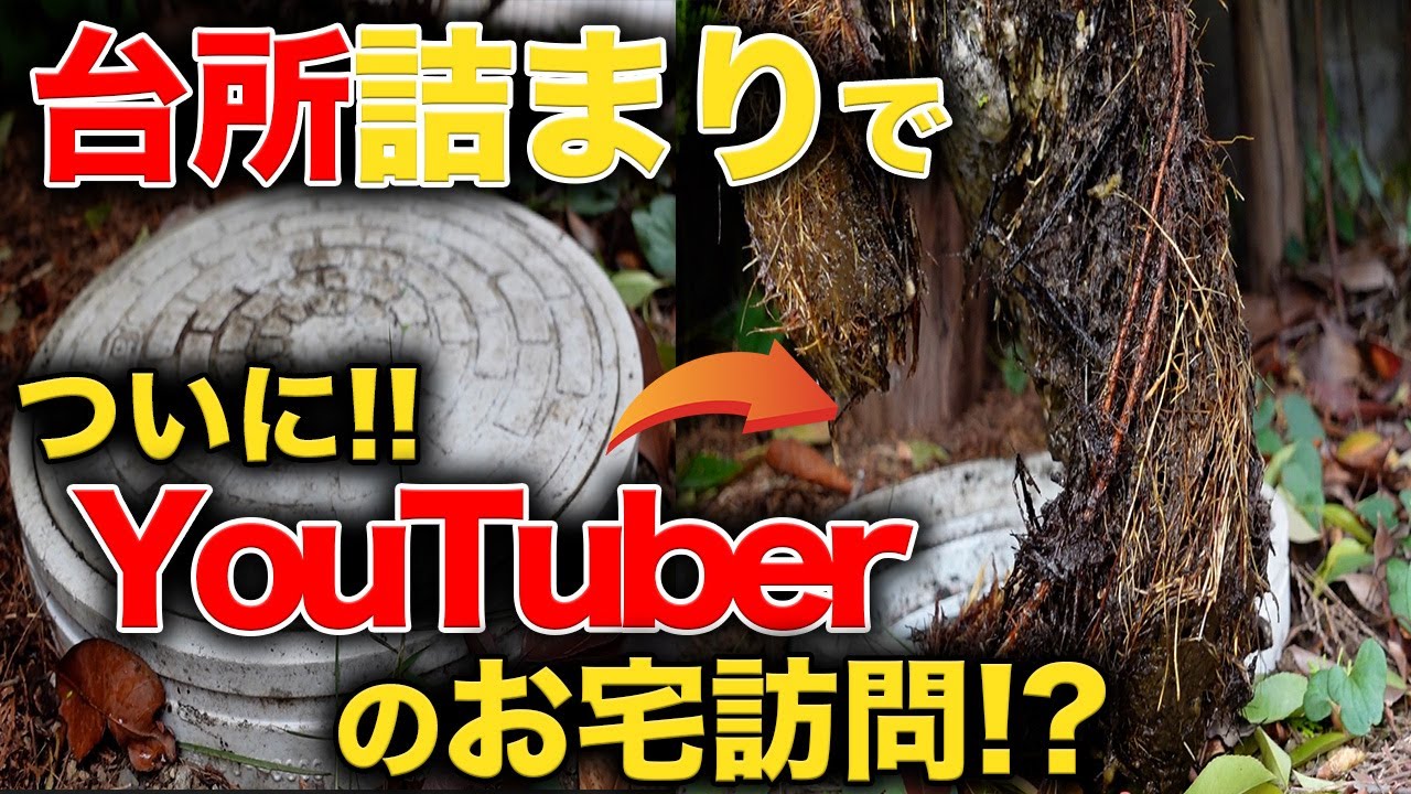 築１７年１年前に折り込みチラシの業者を手配１週間持たずに再度詰まる激安ならではのキャッシュポイント発見、詰まり修理完了かと思ったら・・・ついに花ユーチューバーとコラボ【花のお掃除 #169】