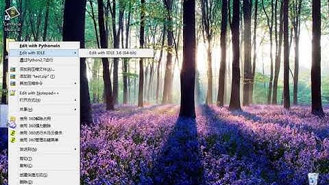 ［小甲鱼：极客Python］统计淘宝某宝贝的销量（上）