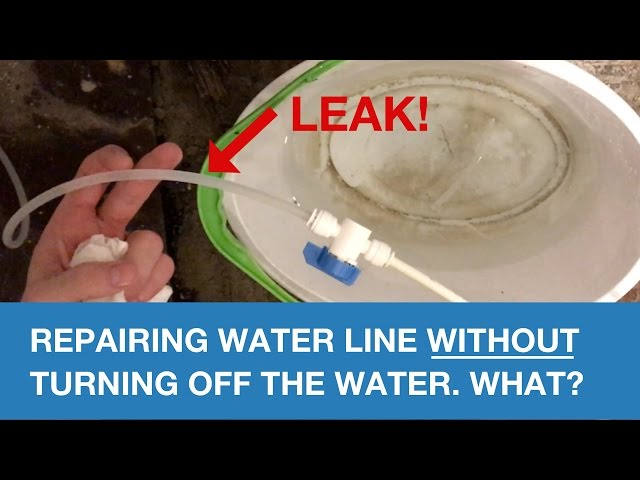 How to fix a 1/4 water line with Sharkbite valve without turning off the  water 