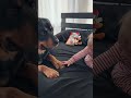 Rottweiler Takes Away Baby Toy