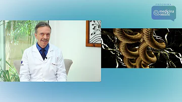 Como os diversos tipos de estresse influenciam a resposta inflamatória?