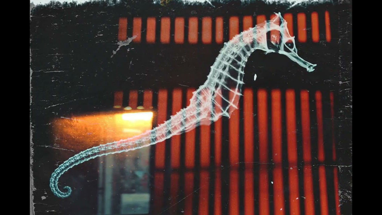 Wait 4 Me -Rob Domino