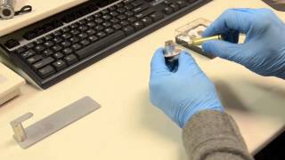 Mounting a sample for the Hitachi S4700 Scanning Electron Microscope