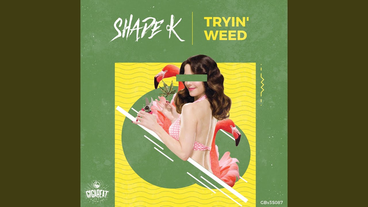 Watch Tryin' Weed on YouTube Watch Tryin' Weed on YouTube