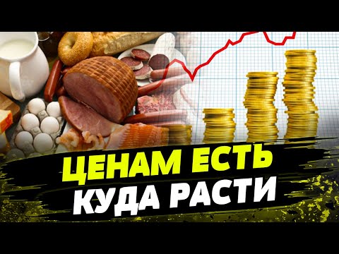 Станут ЕЩЕ ВЫШЕ? Падения цен в России не будет, предприятия не смогут работать!