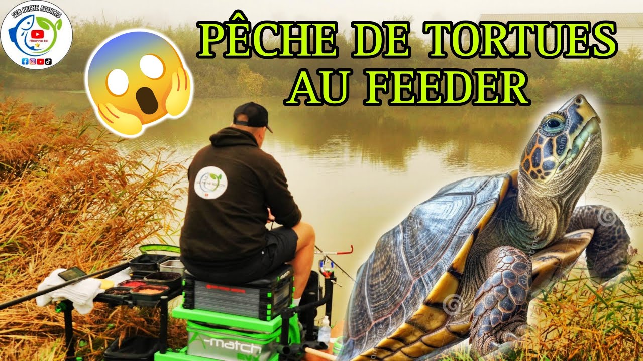 Petit Livret Ancien Sur La Pêche à La Tortue En Eau Douce - France