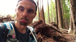 Sunshine Coast Trail Sct Ultra Trail Run Attempt