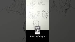 Anatomy Study 9! #bridgman #constructiveanatomy #howtodraw #anatomy #neck #sketch #learn
