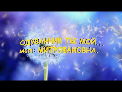 ОДУВАНЧИК ТЫ МОЙ