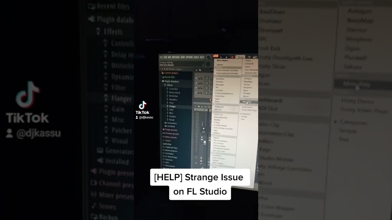 [HELP] FL STUDIO HAS SUDDENLY STOPPED LOADING PLUGINS 😭