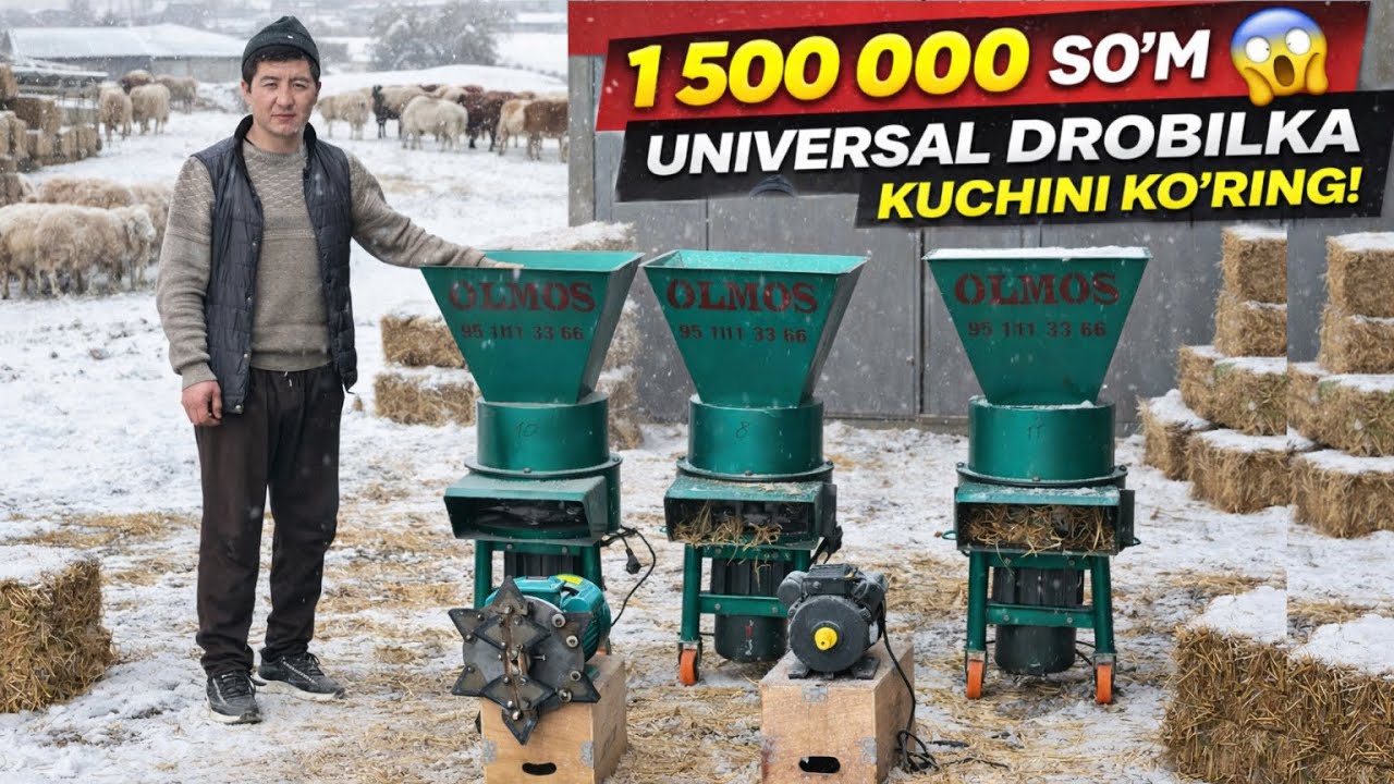 TEKINGA MATOR+MAHAVIK? DROBILKA OLAMIDA XECH KIM QILMAGAN ISHNI QILDI!