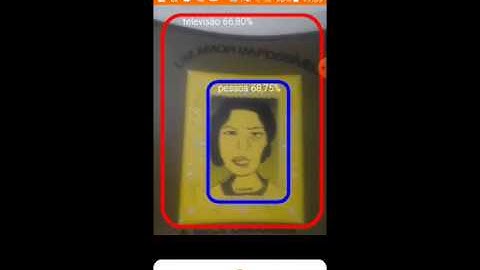 detecção de objetos em tempo real by tensorflow