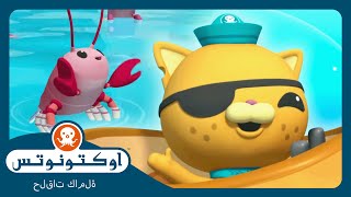 أوكتونوتس |  🌪️عاصفة في عمق البح 🌀  | السلسلة 1 | الحلقة 9
