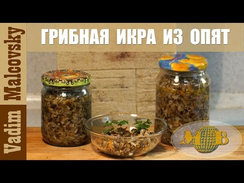 Консервация грибная икра из опят. Как сделать грибную икру. Мальковский Вадим