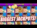 Queen of the nile deluxe high limit slot jackpots  huge wins youll ever see
