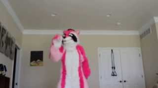 DSC 0125