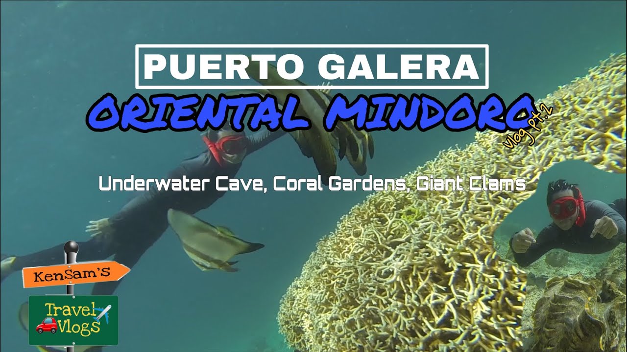 Puerto Galera Sea Tour! Ang laki ng Clams at ganda ng Corals! pede mag Free diving | kensamtv