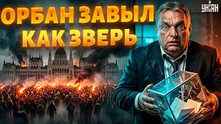 Конец Орбана! "Дружок" Путина теряет власть — Мадьяр ВЫРЫВАЕТСЯ вперёд