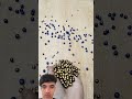 New cat satisfying video#funny #cat #satisfying #memes #experiment