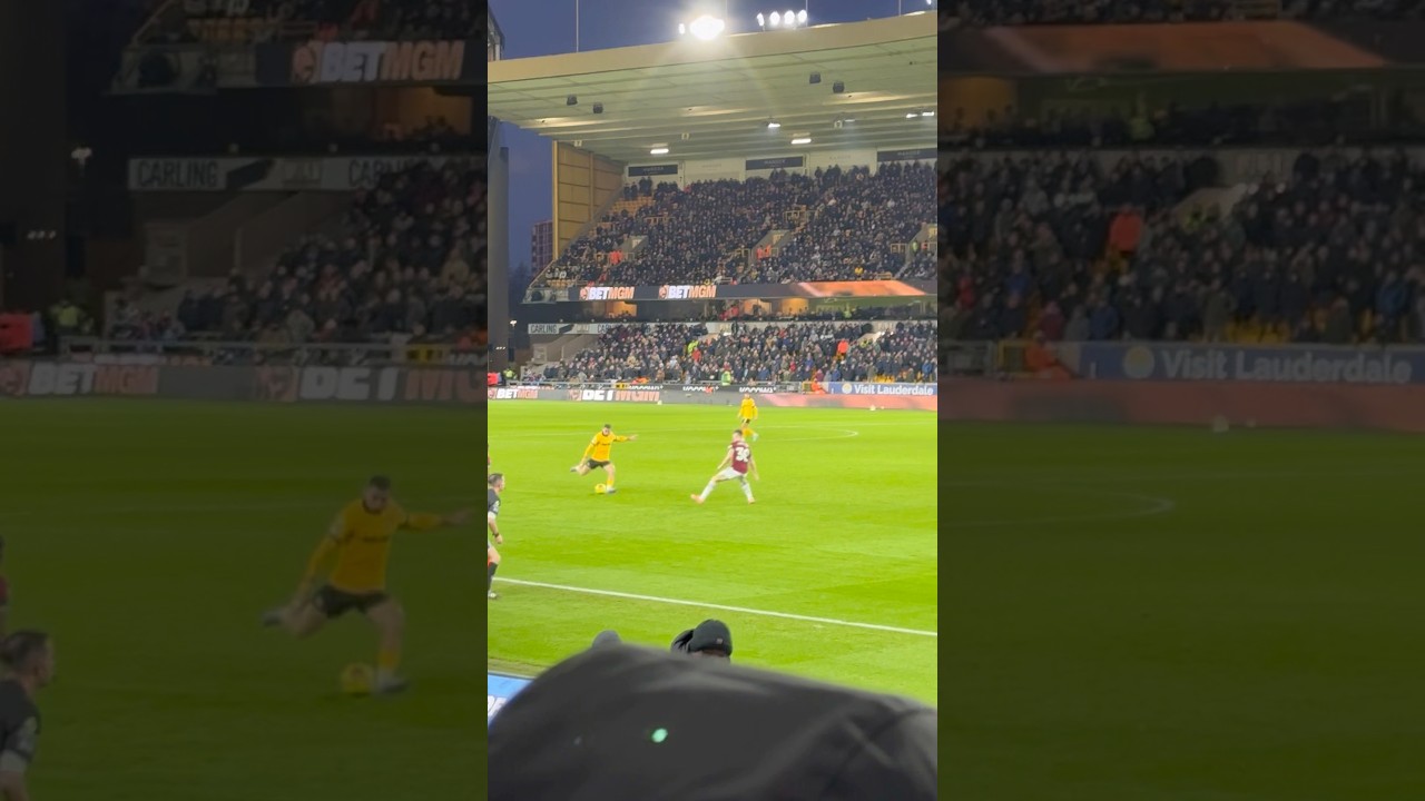 Mane shot saved by Areola 