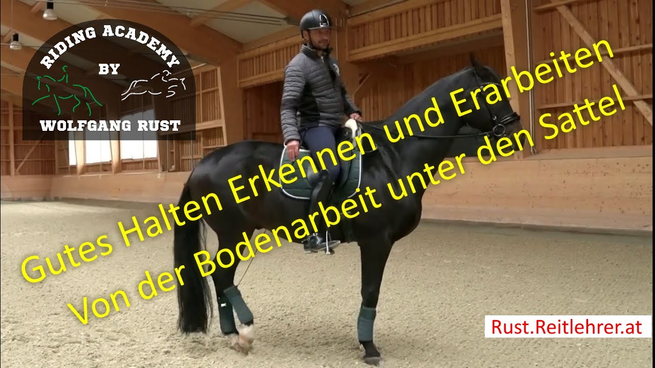 F57 Die Haltparade: Kriterien, Korrektur, Reiterhilfen, Bodenarbeit, Pferde ausbilden, Reiten lernen