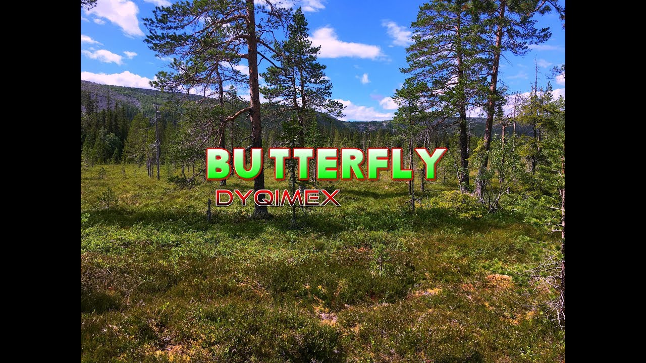 Watch DQMX - Butterfly on YouTube Watch DQMX - Butterfly on YouTube