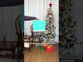 Bring a Christmas breeze to your home with our robot vacuum #lefant #robotcleaner #robotvacuum