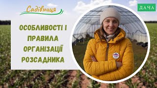 Особливості і правила організації розсадника. Корисні Поради Садівникам.