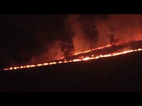 Incêndio atinge proximidades da reserva de mata atlântica da cidade de Mirassol/SP