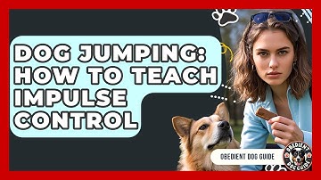 Dog Jumping: How To Teach Impulse Control - Obedient Dog Guide