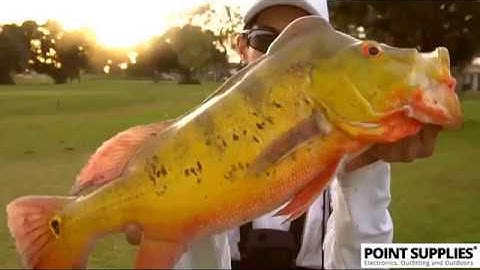 How to Fishing use Fishing Rod - Spinning Reel for beginners