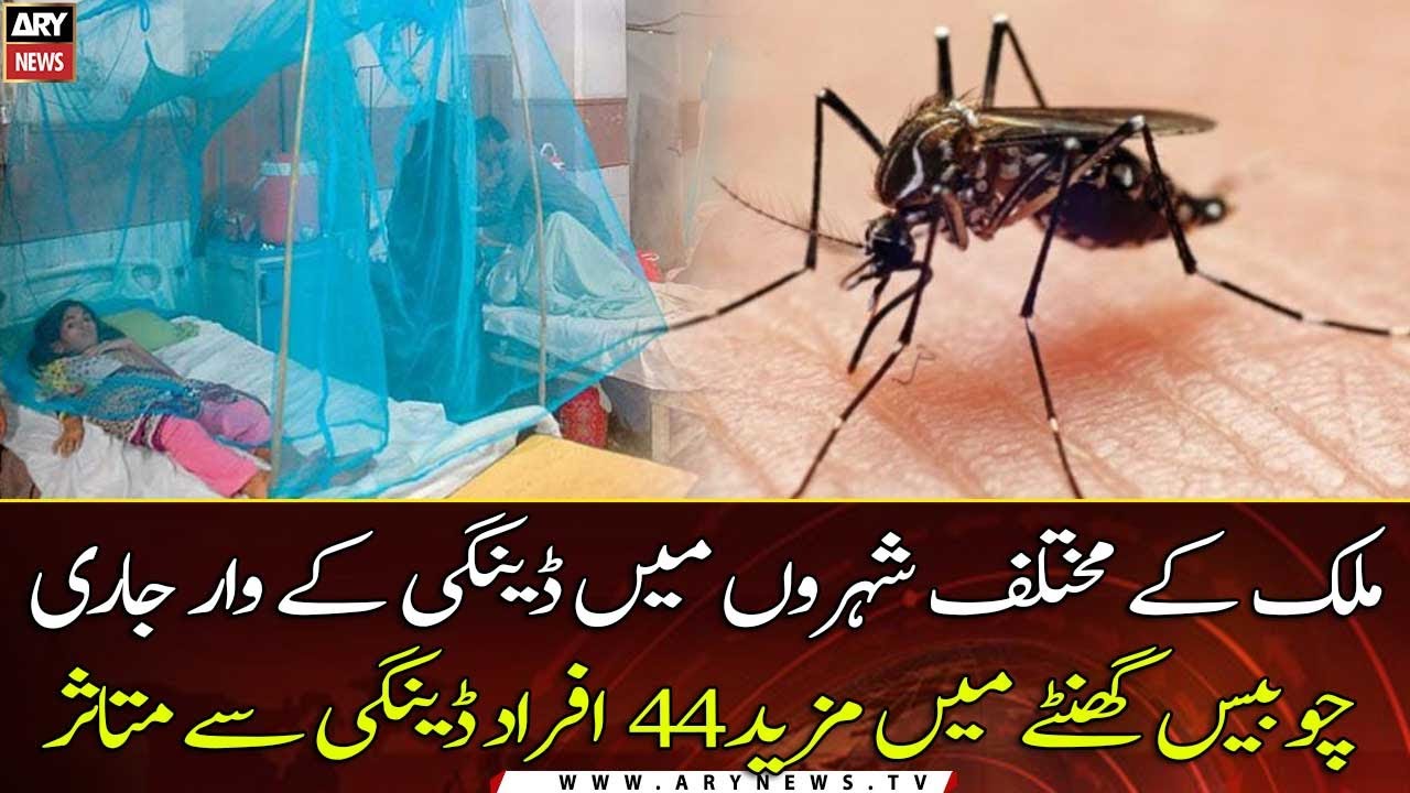 Islamabad marred with fresh 44 dengue cases in one day