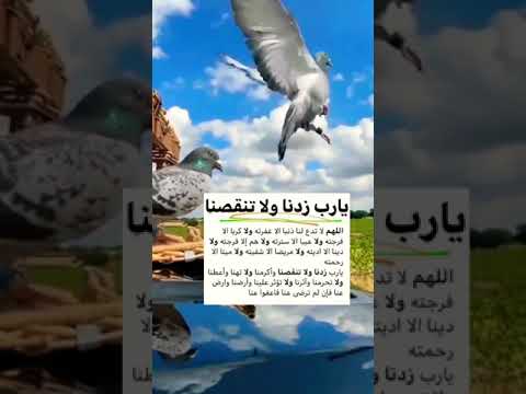 اللهم زدنا ولاتنقصنا أسهل طريق إلى الجنة Almasri  اللهم زدنا ولاتنقصنا أسهل طريق إلى الجنة Almasri