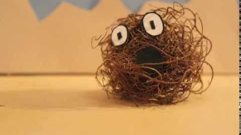 ANM 180 Final Animation: Life of a Tumbleweed