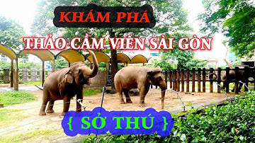 Khám Phá Thảo Cầm Viên Sài Gòn..Có Rất Nhiều Động Vật Quý Hiếm |TÔI YÊU SÀI GÒN,