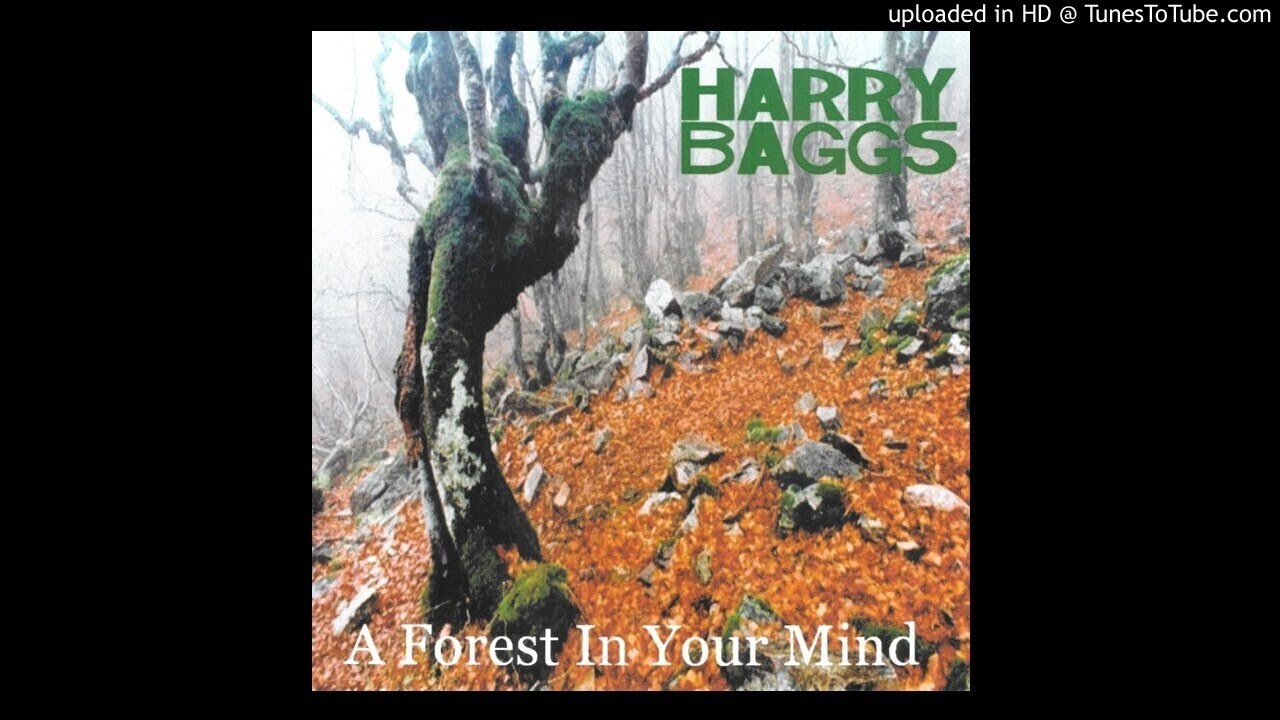 Harry Baggs -  When The Ships Return From Hell